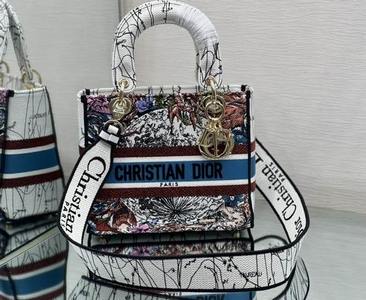 DIOR Handbags 589